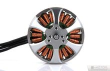 Load image into Gallery viewer, Tiger Motor MN5212 340kv