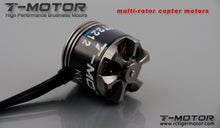 Load image into Gallery viewer, Tiger Motor MT-2212-11 1100kv