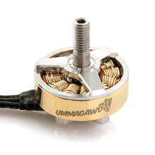 Load image into Gallery viewer, Rotor Riot Hypetrain Ummagawd 2306 2150kv Motor
